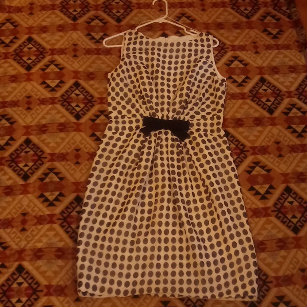 Coldwater Creek Pocka Dot Dress Size 8. Beautiful.